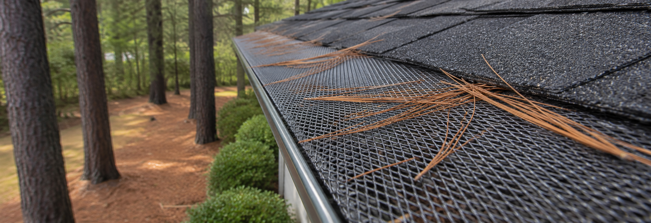 Close-up of a micro-mesh gutter guard panel deflecting pine needles while allowing water to pass through